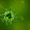インフルエンザウイルスの中に絶滅したものがある可能性、新型コロナウイルス感染対策